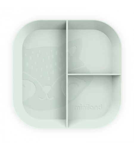 Pratos com Divisórias - Conjunto de de 6