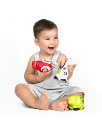 First Senses: Pettinos - Primeiros Sentidos: Animais