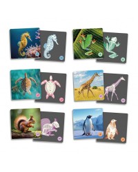 Animais Vertebrados e os Seus Esqueletos