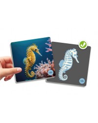 Animais Vertebrados e os Seus Esqueletos