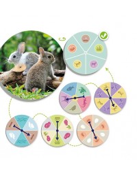 O Mundo Animal - Descobrir e Classificar