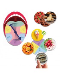 Paladar e os Sabores