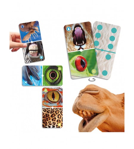 Dominó Natudomino o Zoo dos Animais