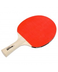 Conjunto de Ténis de Mesa - 10 jogadores