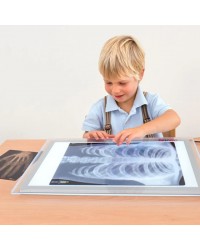 Conjunto de Radiografias de Ossos Humanos - 18 peças