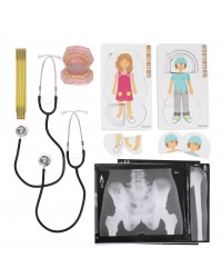 Anatomia do Corpo Humano - Conjunto de 25 peças