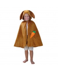 Conjunto de Fantasias Infantis 3-8 anos - 13 fatos