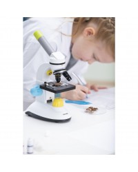Microscópio de Aprendizagem Colorido