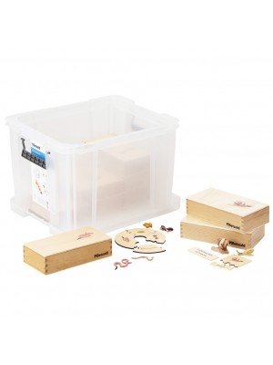 Conjunto Ciclo de Vida Humana, Animais e Plantas