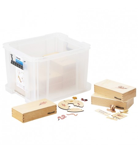 Conjunto Ciclo de Vida Humana, Animais e Plantas