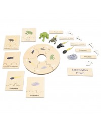 Conjunto Ciclo de Vida Humana, Animais e Plantas