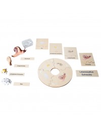 Conjunto Ciclo de Vida Humana, Animais e Plantas