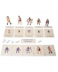 Conjunto Ciclo de Vida Humana, Animais e Plantas