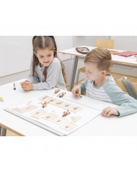 Conjunto Ciclo de Vida Humana, Animais e Plantas