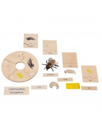 Conjunto Ciclo de Vida Humana, Animais e Plantas