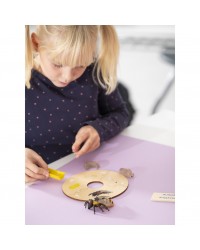 Conjunto Ciclo de Vida Humana, Animais e Plantas