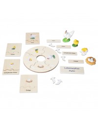 Conjunto Ciclo de Vida Humana, Animais e Plantas