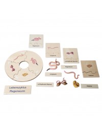 Conjunto Ciclo de Vida Humana, Animais e Plantas