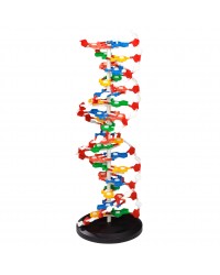 Modelo ADN / DNA Desmontável XXL Modelo ADN / DNA Desmontável XXL