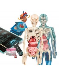 Ciência e Jogo - Super Anatomia Ciência e Jogo - Super Anatomia