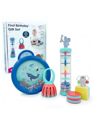 Conjunto Primeiro Aniversário - 5 em 1