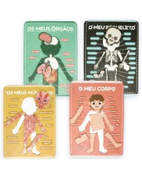 À Descoberta do Corpo Humano