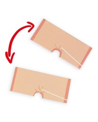 À Descoberta do Corpo Humano