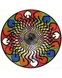 Roda Óptica Gigante