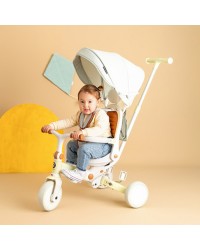 Triciclo Evolutivo Multifunções - Verde