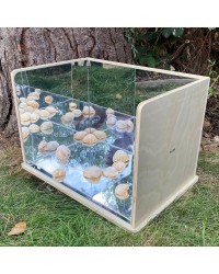 Espelho Exploratório de Madeira