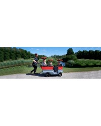Autocarro para Transporte de 6 Crianças - Turtle Kiddy Bus